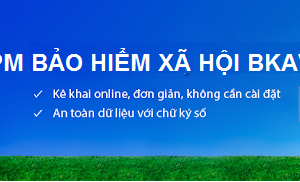Phần mềm bhxh BKAV