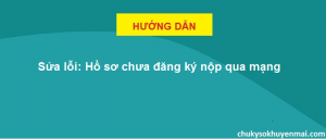 Hồ sơ chưa đăng ký nộp qua mạng