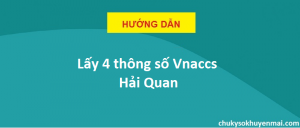 4 thông số vnaccs