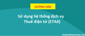 Hướng dẫn sử dụng hệ thống Thuế điện tử